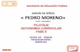 JARDIN DE NIÑOS « PEDRO MORENO»edu.jalisco.gob.mx/coordinacion-educacion-basica/... · toma de desiciones en los cte, debilidades numero alumnos recursos econÓmicos insuficientes