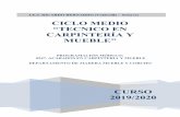 CICLO MEDIO “TECNICO EN CARPINTERÍA Y MUEBLE”iesricardobernardo.es/wp-content/uploads/2019/11/...medio ambientales en el proceso de secado y curado de los productos aplicados.