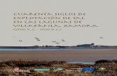 cuarenta siglos de explotación de sal en las lagunas de · 2013-12-11 · de gozar del espectáculo de las aves migratorias (sobre todo patos, ánsares y limícolas, pero también
