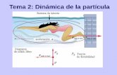 Tema 2: Dinámica de la partícula - Universidad de …departamento.us.es/dfisap1/F1/slides/t2-dinamica.pdfRealizan una fuerza opuesta al desplazamiento respecto a la posición de