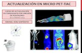 CURSO DE ACTUALIZACIÓN EN TOMOGRAFÍA POR EMISIÓN DE ...smnimvm.es/files/MICRO PET. R. DIAZ.pdf · inoculaciÓn lÍnea celular en el ratÓn - ratón inmunodeprimido/ no ... intraperitoneal,
