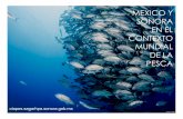 México y La Pesca Mundial 2oiapes.sagarhpa.sonora.gob.mx/notas/pesca-mundo.pdf · de los alimentos más cotizados en el mercado ... en Asia. El número total de embarcaciones de