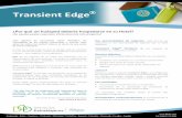 Transient Edge - DDD Sedddse.com/ddd/wp-content/uploads/2012/12/3.1Brochure-Transient-Edge-DEF.pdfventas reales. Transient Edge es más que una formación, es un cambio de comportamiento