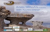 58 Sesión Científica de lasociedadgeologica.es/archivos_pdf/sesiones_programa58_aguilardecampoo.pdfLas deformaciones hercínicas del Macizo de Montalbán (Teruel) en su sector NW