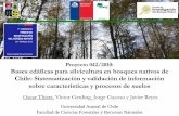 Proyecto 042/2010: Bases edáficas para silvicultura en ... · Riqueza y abundancia total estandarizada según tipo de intervención da Efecto manejo y abundancia entomofauna Total