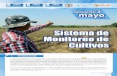 Sistema de Monitoreo de Cultivos...Sistema de Monitoreo de Cultivos 4 mayo 2013 ÁREA NORTE En la Franja Transversal del Norte y en el departamento de Petén, la mayoría de familias
