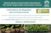 Horticultura de Magnolias para la Conservación · 2019-04-10 · para la germinación de las semillas de Magnolias •Sarcotesta generalmente roja, rica en aceites, atrae y alimenta