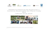 Plataforma Nacional de Producción y Comercio Responsable de Piña en … · 2018-02-21 · 4 Misión aprendizaje lecciones aprendidas en la Plataforma de piña para la creación