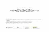 MATERIA III.3. ENTIDADES DE INSERCIÓN SOCIOLABORAL - materiales EIS - mat_3_3.pdf · master en administraciÓn y direcciÓn de empresas y de entidades no lucrativas de la economÍa