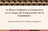 La Mesa Indígena y Campesina en la etapa de Preparación de ... · en la etapa de Preparación de la ENAREDD+ Representación de Pueblos Indígenas . Representación Indígena en