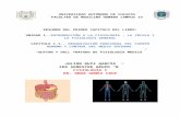 julianruiz525555208.files.wordpress.com  · Web viewtraves del músculo uterino que vuelven hasta el cuerpo del útero, provocando contracciones más potentes. Así como este, hay