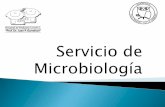 Servicio de Microbiología Interna/PDFs … · -TratamientoDirigido: Mejor elección de ATB, sin efectos secundarios no deseados ni incremento de costos (Banerjee R et al. ICAAC Sept