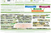 Atlas de Biología Reproductiva para la Flora Macaronésica · 2019-12-23 · Resultados preliminares El Objetivo fundamental de MACFLOR es elaborar un ATLAS DE BIOLOGÍA REPRODUCTIVA