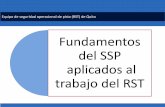 Fundamentos del SSP aplicados al trabajo del RST P4... · Operacional del Estado (SSP) relacionados con el trabajo del equipo de seguridad operacional (RST) para la pista del AIMS