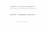 BASES CONCURSO PÚBLICO Concurso LDS.pdf 2! BASES CONCURSO PÚBLICO DIRECTOR/A ESTABLECIMIENTO MUNICIPAL LICEO DARIO SALAS ILUSTRE MUNICIPALIDAD DE SANTA MARIA BASES DE CONVOCATORIA