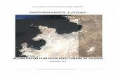 ORDENANZA LOCAL · 2019-08-01 · de Urbanismo y Construcciones (OGUC), del Plan Regulador Intercomunal de las Comunas Costeras de Atacama (PRICOST) y demás disposiciones legales