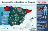 Vacunación antirrábica en España La rabia · 2016-09-13 · Vacunación antirrábica en España La rabia Perro Hurón Équidos Gato Vacuna obligatoria Versión julio 2016 Vacuna