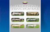 NACIONAL - Asocharolaiseasocharolaise-charbray.com/wp-content/uploads/2016/11/semen-nacional.pdfmente fue declarado Campeón Joven y Gran Campeón Nacional de la Raza en la 3ra feria
