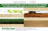 Estrategias tecnológicas para contrarrestar la sequía en ...oleaginosa contiene alrededor de 40 % de proteína y 20 % ... estados y regiones del trópico mexicano; en 2011 la superficie