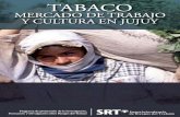 Programa de promoción de la Investigación, Formación y ...publicaciones.srt.gob.ar/Publicaciones//2009/Tabaco_Jujuy.pdf · Programa de promoción de la Investigación y Divulgación
