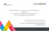 PROGRAMA DE ESTUDIOS DEL COMPONENTE BÁSICO DEL … · 2019-09-20 · 2 Elaboración del Programa de estudios de Tecnologías de la Información y la Comunicación de la SEP M. en