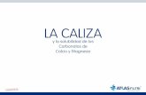 2 CALIZA Layout 1 - atlasfiltri.com · † Caliza = Aislante (pérdida de rendimiento térmico) † Caliza = Antagonista de los tensoactivos (mayor consumo de detergentes y jabones)
