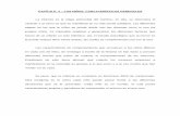 CAPÍTULO 2 – LOS NIÑOS, CARCATERÍSTICAS GENERALEScatarina.udlap.mx/.../documentos/lco/urcid_p_r/capitulo2.pdf · 2007-11-23 · CAPÍTULO 2 – LOS NIÑOS, CARCATERÍSTICAS GENERALES