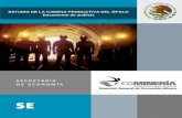 ESTUDIO DE LA CADENA PRODUCTIVA DEL ÓPALO Documento de ...economia.gob.mx/files/CadenaProductivadelOpalo.pdf · con el propósito de implantar estrategias exitosas de intervención