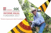 Fundemex Informe 2017fundemex.org.mx/archivos/transparencia/2017.pdf · 2018-08-07 · Logo Empresa Social ... Fundemex canalizó a través del Fideicomiso Fuerza México $3,200,000