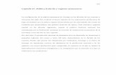Capítulo IV. Política frutícola y regiones manzaneras · 5 Martha Chávez Padrón, El Derecho Agrario en México, México, Porrúa, 1981, p. 361. 255 producción de cultivos básicos