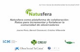 Natusfera como plataforma de colaboración: Retos para ......Natusfera como plataforma de colaboración: Retos para incrementar y fortalecer la comunidad de observadores Jaume Piera,