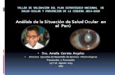 Análisis de la situación de Salud Ocular€¦ · Análisis de la Situación de Salud Ocular en el Perú ... Provisión de Servicios Especializados para el Diagnóstico y Tratamiento