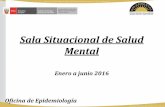 Sala Situacional de Salud Mental - Instituto Nacional de ... · Sala Situacional de Salud Mental Enero a junio 2016 Oficina de Epidemiología ... Atencione s Adicciones 747 2502 566