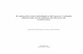 Evaluacion microbiologica del queso cabaña elaborado en la ...bdigital.zamorano.edu/bitstream/11036/1532/1/AGI-2002-T009.pdf · elaborado en la planta de lácteos de Zamorano. Trabajo