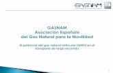 GASNAM Asociación Española del Gas Natural para la Movilidad...proponiendo estaciones en puertos marítimos y fluviales, a criterio de cada país. Deloitte: “Elfomento del gas