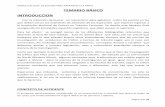 TEMARIO BÁSICO INTRODUCCION · 2017-11-20 · MODULO DE GUIA DE ESTUDIO PARA ASPIRANTES A LA ANPTT Página 3 de 23 1- Deslizamiento debido a una mancha de aceite o similar, desconociéndose