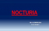 NOCTURIA - SBU Cbbasbu-filial-cbba.com/Archivos/NOCTURIA-Dr. Urenda.pdf•Factores médicos que afectan: - patrón de sueño - producción y almacenamiento Capacidad vesical disminuida