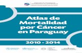 Atlas de Mortalidad por Cáncer en Paraguayportal.mspbs.gov.py/dvent/wp-content/uploads/2018/... · sobre el total de las defunciones por cáncer. Periodo 2010 – 2014. ... todo