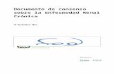 Documento de Consenso ERC€¦  · Web viewDocumento de consenso sobre la Enfermedad Renal Crónica. 2. Documento de consenso sobre . la Enfermedad Renal