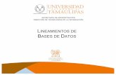 LINEAMIENTOS DE BASES DE DATOS - uat.edu.mx. Acuerdos y... · Establecimiento de una Base de Datos Institucional de catálogos comunes, a la cual tendrán acceso todas las áreas
