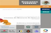 Diagnóstico y Tratamiento de las DE MENISCOS N ODILLA del ...201.116.126.82/pdf/gpc/eyr/IMSS-577-12.pdf · UMAE Hospital de Traumatología y Ortopedia. Puebla, Pue. Validaciónn