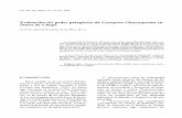 Evaluación del poder patogénico de Cytospora Chrysosperma ...€¦ · clones de Chopo ALONSO, DAVID PAJARES, JUAN DIEZ, JULIO La inoculación de Cytospora chrysosperma, forma anamórfica
