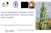 La Quinua: Potencialidades y Limitaciones a …agrominperu.com/publicaciones/2018/junio/4. Empleo y...I. ANTECEDENTES REGION ANDINA: 5,000 a.c. domesticaron y mejoraron el cultivo