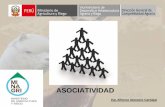 ASOCIATIVIDAD - Gobagroaldia.minagri.gob.pe/biblioteca/download/pdf/video... · 2017-03-30 · • De la misma manera en el año 2011, las Organizaciones de Productores de Alpacas