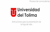 Presentación de PowerPoint - Universidad Del Tolimaadministrativos.ut.edu.co/images/Convocatorias/Planta/... · 2018-04-12 · 1. El aspirante deberá remitir la hoja de vida a la