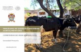 PROGRAMA DE SANIDAD E INOCUIDAD AGROALIMENTARIA …sdayr.guanajuato.gob.mx/contenido/adjuntos/publicaciones... · 2018-05-02 · La inocuidad alimentaria es un término relacionado