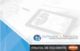 Software & Serviciositalred.italcol.com/intranet... · formes y estados ﬁnancieros por unidad de Negocio. ... Seriales 4. Códigos de Barras. Software & Servicios Software y Servicios