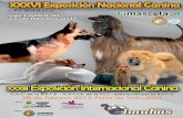 FOLLETO PERRO 2016:MaquetaciÛn 1 · • Una ORGANI ZACIÓN con más de 30 años de experiencia en el desarrollo de Exposiciones Caninas por un mismo equipo y pensando exclusivamente
