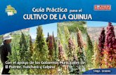QUINUA - saludpublica.bvsp.org.bosaludpublica.bvsp.org.bo/cc/bo40.1/documentos/552.pdf · Para el cultivo de la quinua, se recomienda a nivel general rotar: papa > quinua > avena