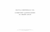BATLA MINERALS SA COMPTES CONSOLIDES 31 …...- La société BATLA RESOURCES a été créée dans l’optique de trouver de nouvelles ressources minérales. Son but est de prospecter,